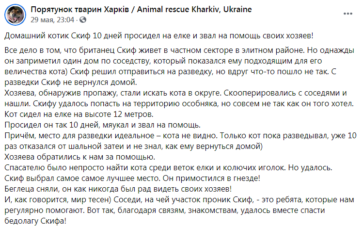 Скриншот из Фейсбука Спасение животных Харьков